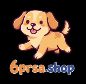 6prsa.shop